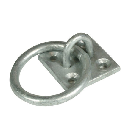 Image depicting a product titled Ring Plate